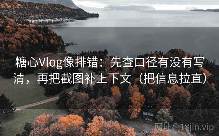 糖心Vlog像排错:先查口径有没有写清,再把截图补上下文(把信息拉直) 第2张 糖心Vlog像排错:先查口径有没有写清,再把截图补上下文(把信息拉直) 第2张